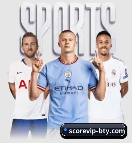 了解平台 - 体育资讯内容服务 | bsport